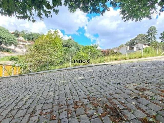 Terreno / Lote para Venda em Bento Gonçalves/RS Santa Helena