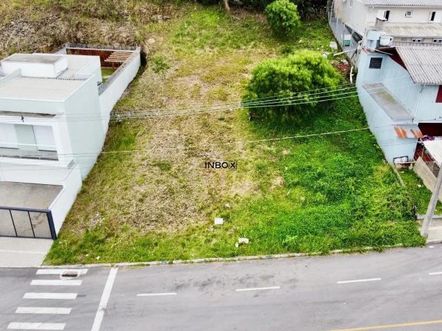 Terreno / Lote para Venda em Bento Gonçalves/RS Santa Helena