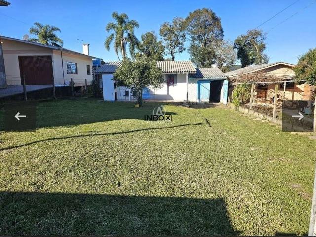 Terreno / Lote para Venda em Bento Gonçalves/RS Santa Helena