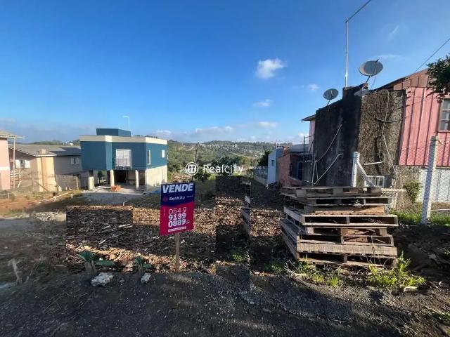 Terreno / Lote para Venda em Bento Gonçalves/RS Santa Helena