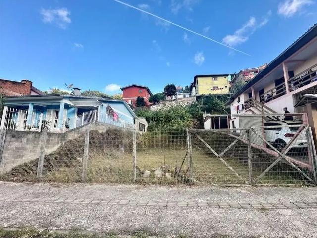 Terreno / Lote para Venda em Bento Gonçalves/RS Santa Helena