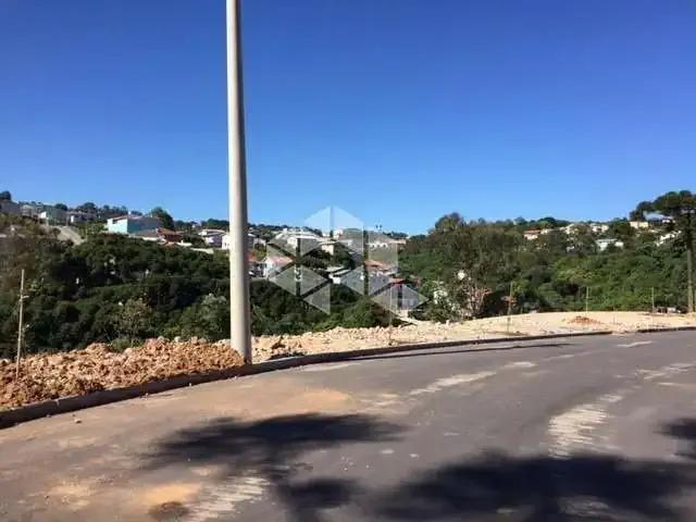 Terreno / Lote para Venda em Bento Gonçalves/RS Santa Marta