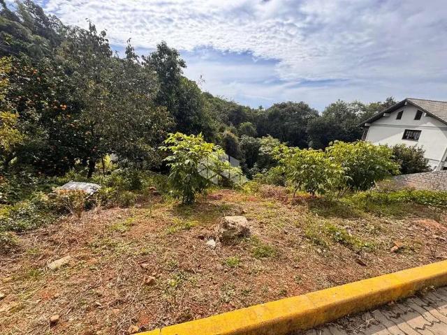 Terreno / Lote para Venda em Bento Gonçalves/RS Santa Marta