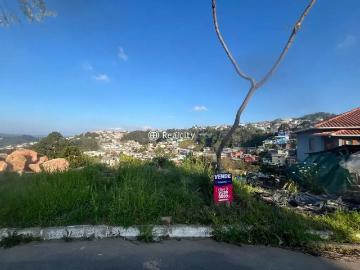 Terreno / Lote para Venda em Bento Gonçalves/RS Santa Marta