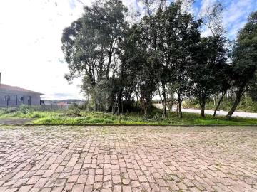 Terreno / Lote para Venda em Bento Gonçalves/RS Santa Marta