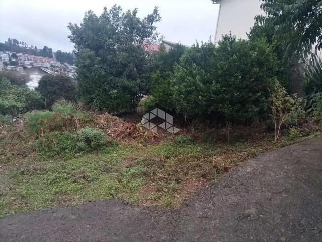 Terreno / Lote para Venda em Bento Gonçalves/RS Santa Marta 3 Quartos