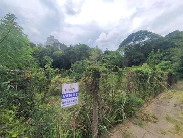 Terreno / Lote para Venda em Bento Gonçalves/RS Santa Rita