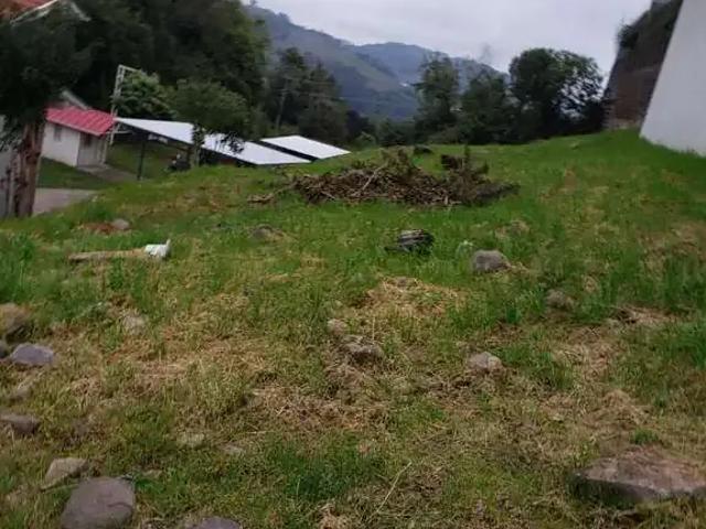 Terreno / Lote para Venda em Bento Gonçalves/RS Santa Rita