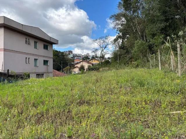 Terreno / Lote para Venda em Bento Gonçalves/RS Santa Rita