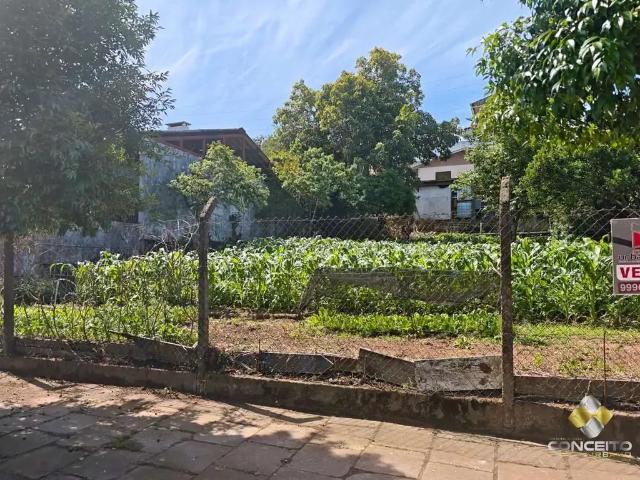 Terreno / Lote para Venda em Bento Gonçalves/RS Santa Rita