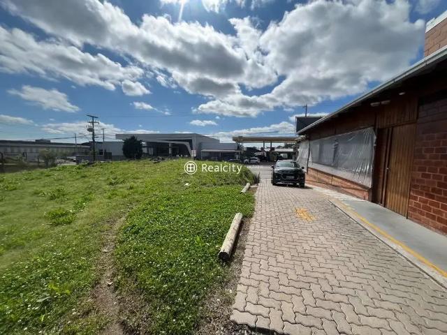 Terreno / Lote para Venda em Bento Gonçalves/RS Santo Antão