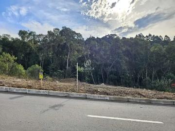 Terreno / Lote para Venda em Bento Gonçalves/RS Santo Antão