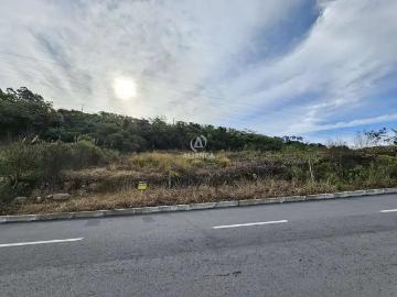 Terreno / Lote para Venda em Bento Gonçalves/RS Santo Antão