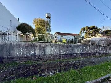 Terreno / Lote para Venda em Bento Gonçalves/RS Santo Antão