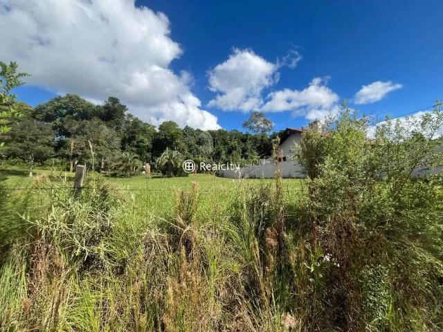 Terreno / Lote para Venda em Bento Gonçalves/RS Santo Antão