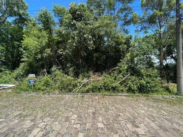 Terreno / Lote para Venda em Bento Gonçalves/RS Santo Antão
