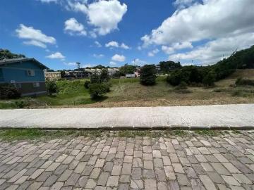 Terreno / Lote para Venda em Bento Gonçalves/RS Santo Antão
