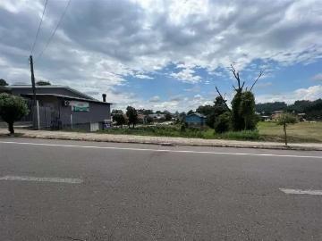 Terreno / Lote para Venda em Bento Gonçalves/RS Santo Antão