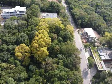 Terreno / Lote para Venda em Bento Gonçalves/RS Santo Antão
