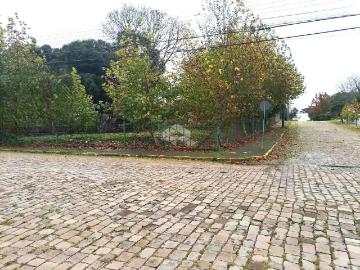 Terreno / Lote para Venda em Bento Gonçalves/RS Santo Antão