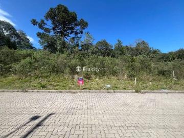 Terreno / Lote para Venda em Bento Gonçalves/RS Santo Antão