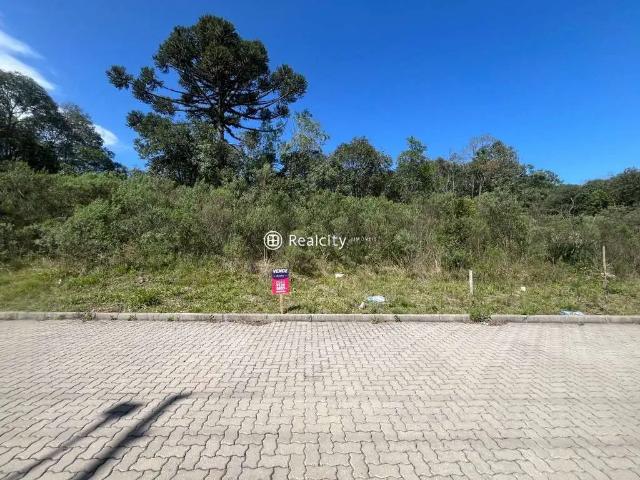 Terreno / Lote para Venda em Bento Gonçalves/RS Santo Antão