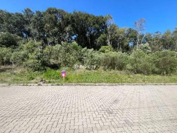 Terreno / Lote para Venda em Bento Gonçalves/RS Santo Antão