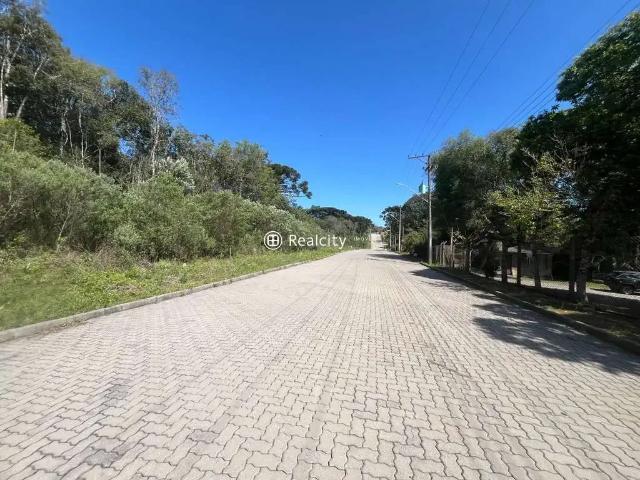 Terreno / Lote para Venda em Bento Gonçalves/RS Santo Antão