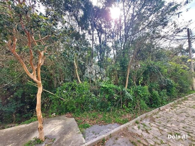 Terreno / Lote para Venda em Bento Gonçalves/RS Santo Antão