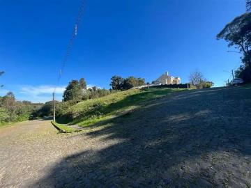 Terreno / Lote para Venda em Bento Gonçalves/RS Santo Antão