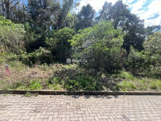 Terreno / Lote para Venda em Bento Gonçalves/RS Santo Antão