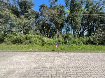 Terreno / Lote para Venda em Bento Gonçalves/RS Santo Antão