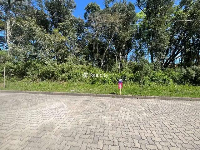 Terreno / Lote para Venda em Bento Gonçalves/RS Santo Antão