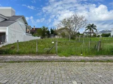 Terreno / Lote para Venda em Bento Gonçalves/RS Santo Antão