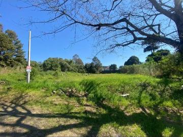 Terreno / Lote para Venda em Bento Gonçalves/RS Santo Antão