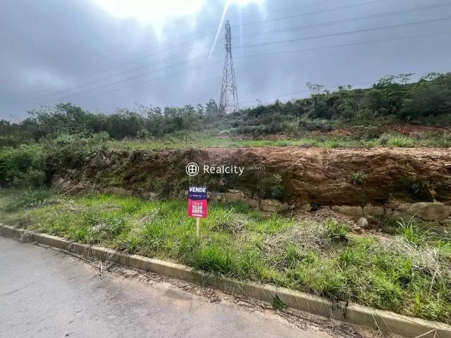 Terreno / Lote para Venda em Bento Gonçalves/RS Santo Antão