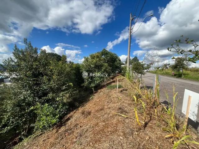 Terreno / Lote para Venda em Bento Gonçalves/RS Santo Antão