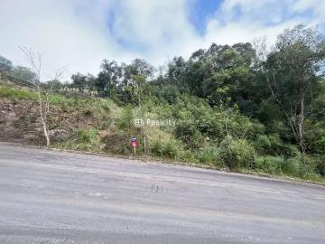 Terreno / Lote para Venda em Bento Gonçalves/RS Santo Antão