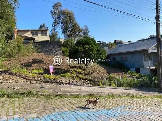 Terreno / Lote para Venda em Bento Gonçalves/RS Santo Antão