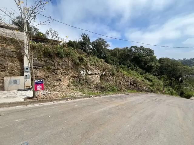 Terreno / Lote para Venda em Bento Gonçalves/RS Santo Antão