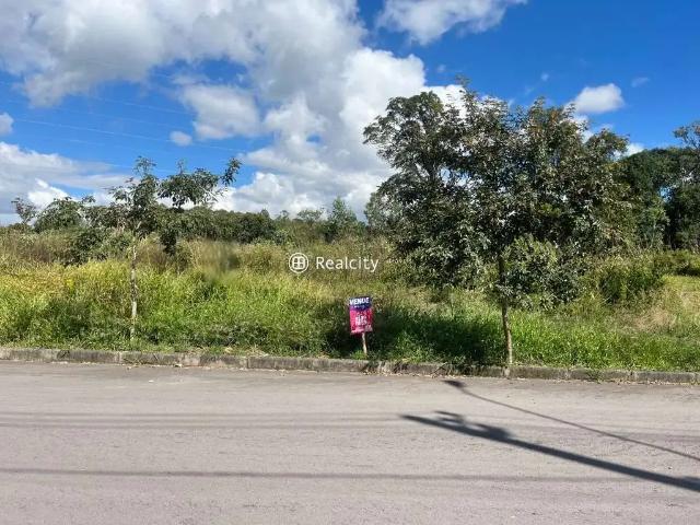 Terreno / Lote para Venda em Bento Gonçalves/RS Santo Antão