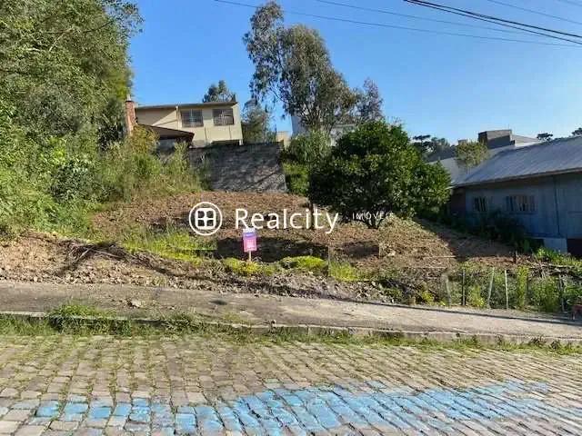 Terreno / Lote para Venda em Bento Gonçalves/RS Santo Antão