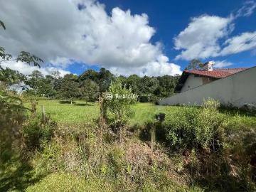 Terreno / Lote para Venda em Bento Gonçalves/RS Santo Antão