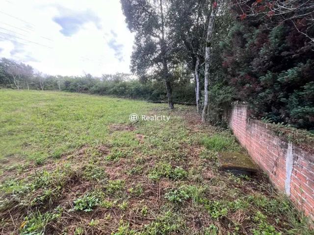 Terreno / Lote para Venda em Bento Gonçalves/RS Santo Antão