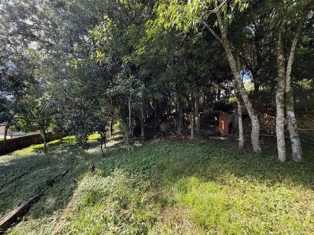 Terreno / Lote para Venda em Bento Gonçalves/RS Santo Antão