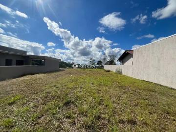 Terreno / Lote para Venda em Bento Gonçalves/RS Santo Antão