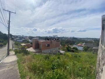 Terreno / Lote para Venda em Bento Gonçalves/RS Santo Antão