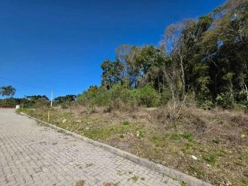 Terreno / Lote para Venda em Bento Gonçalves/RS Santo Antão