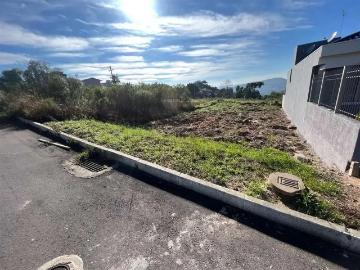 Terreno / Lote para Venda em Bento Gonçalves/RS Santo Antão