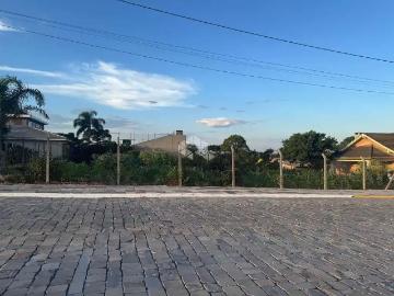 Terreno / Lote para Venda em Bento Gonçalves/RS Santo Antão